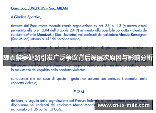 魏震禁赛处罚引发广泛争议背后深层次原因与影响分析 魏震禁赛处罚引发广泛争议背后深层次原因与影响分析