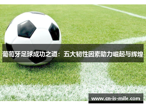 葡萄牙足球成功之道：五大韧性因素助力崛起与辉煌