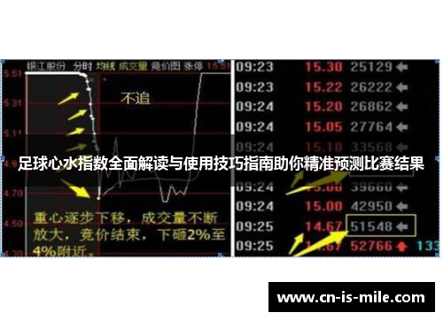 足球心水指数全面解读与使用技巧指南助你精准预测比赛结果