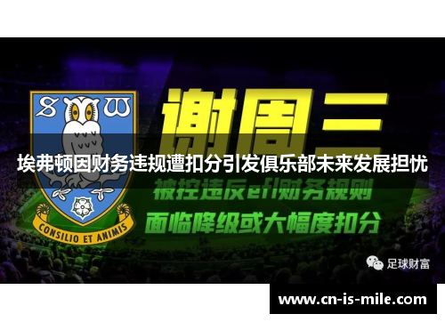 埃弗顿因财务违规遭扣分引发俱乐部未来发展担忧